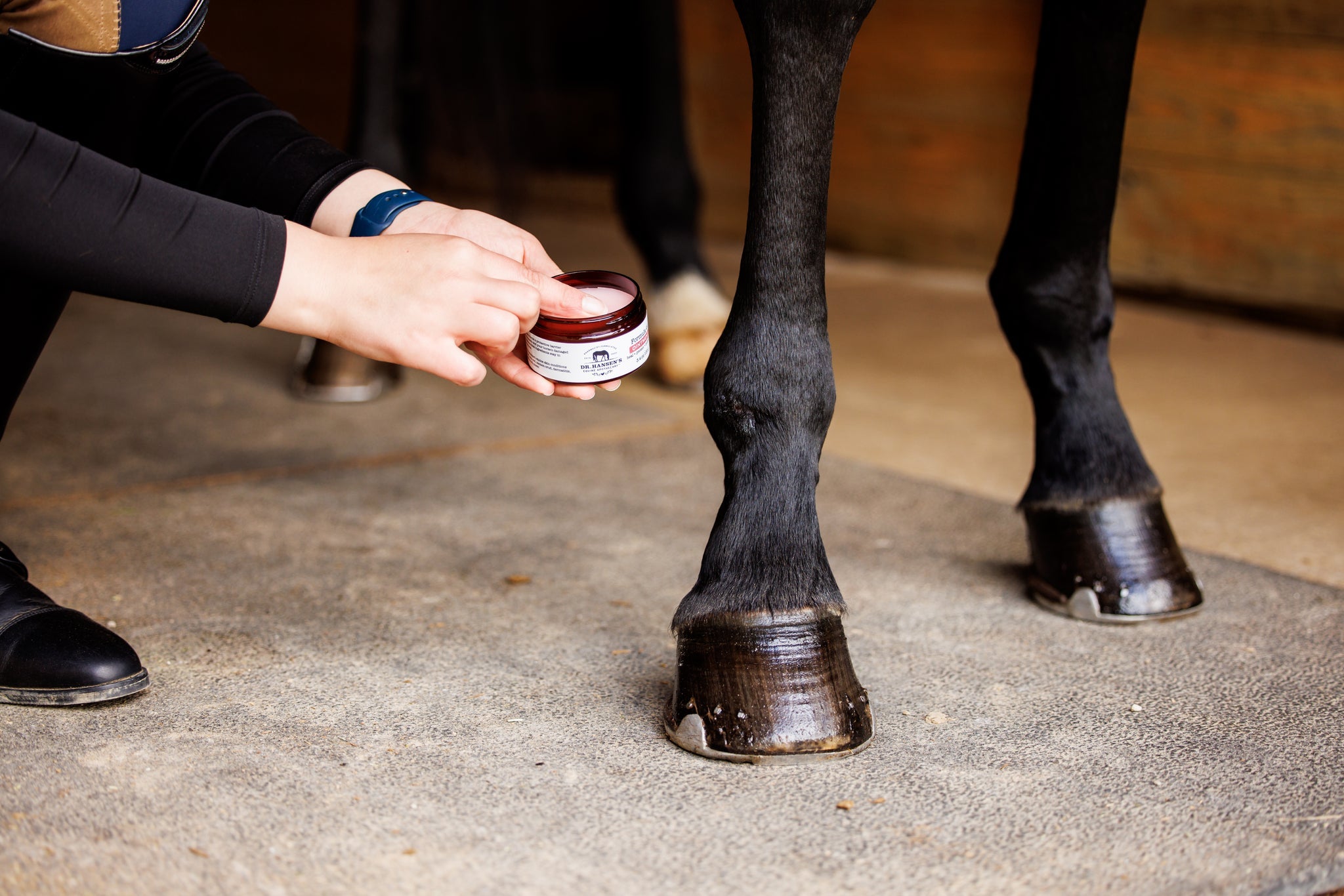 person applying ointment to horse leg