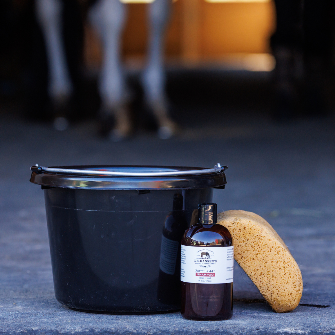 Shampoo & Conditioner